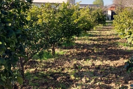 سوئیت ویلای 60 متری در ساری