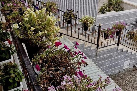 سوئیت ایلیا کوچک طبقه اول در دنا