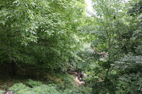 سوئیت 25 متری 4 در طبقه اول ویلای رودبار