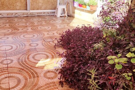 واحد تک خوابه سرفراز در لنگرود