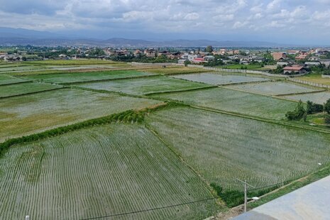 آپارتمان مبله تک خواب در هتل آپارتمان بابل