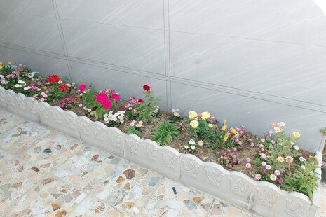 واحد تکخواب یونا در ویلای ساری