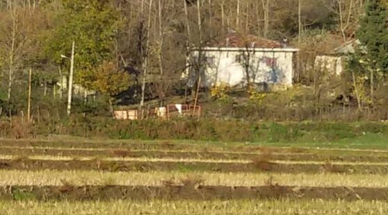 ویلا دوخواب جنگلی در ماسال