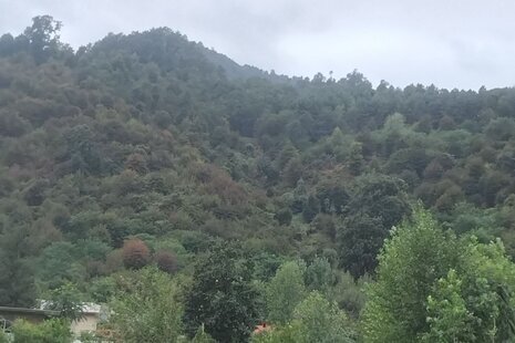 ویلا دو خواب در ماسال