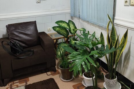 آپارتمان مبله دو خواب گلسار در بوشهر