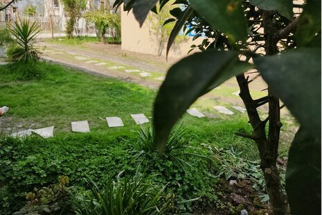 ویلا تک خواب در تالش