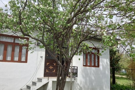 ویلا دوخواب شایان در ماسال