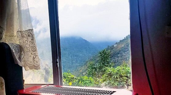 سوئیت جنگلی در لاویج