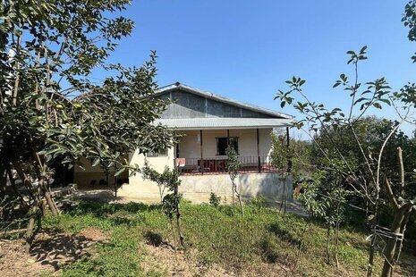 ویلا جنگلی تکخواب ویارسرا در بابل