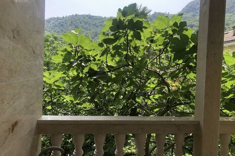 ویلا مبله دو خواب در رامسر