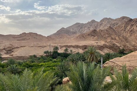 سوئیت مبله 20 متری 3 در طبس