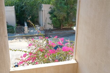 آپارتمان مبله تکخواب شقایق 6 در قشم