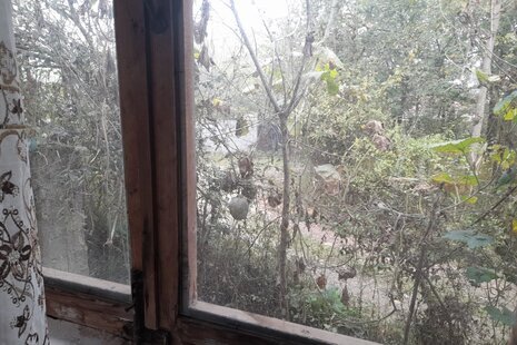 ویلا تکخواب در سیاهکل