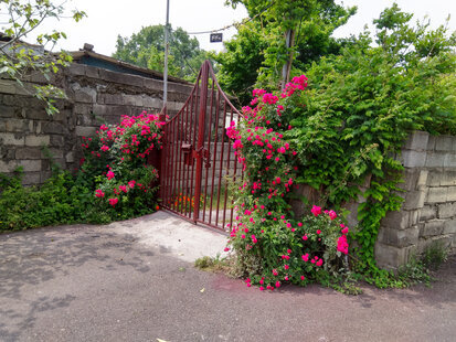 سوئیت 3 در رستم رود نور