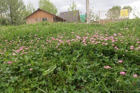 کلبه سوئیسی دوبلکس تک خواب طبیعت 2 در بابل