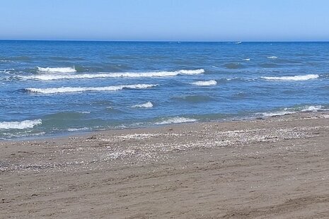 سوئیت 20 متری در محمود آباد