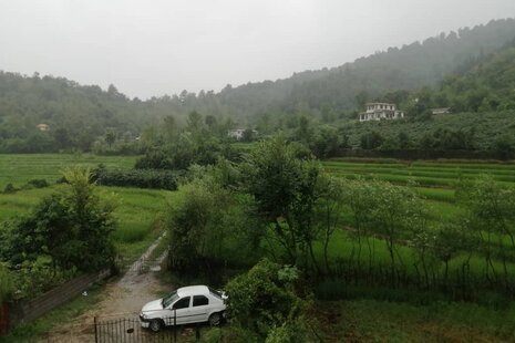 آپارتمان مبله تک خواب در لیسار