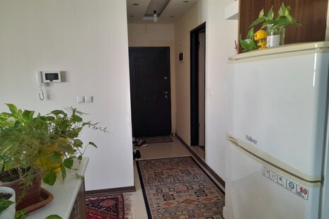 آپارتمان مبله تکخواب ستاره آرام در شیراز