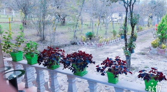 ویلاتکخواب زیر بام سبزشاندرمن