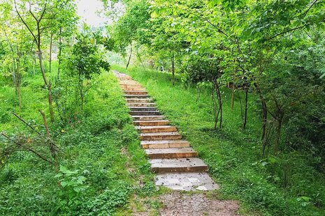 کلبه جنگلی 3 شیروان در ماسال