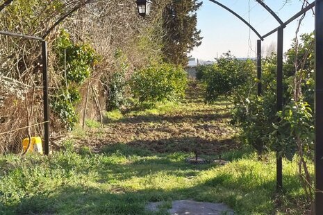 سوئیت ویلای 60 متری در ساری