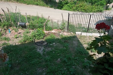 سوئیت کلبه چوبی در ماسال