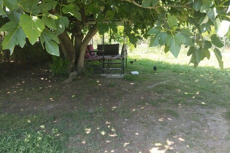 ویلا مبله تکخواب نیلی در ماسال