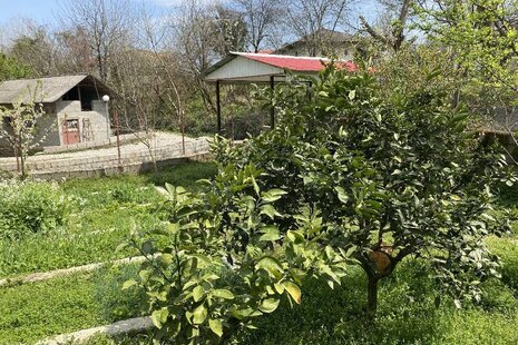 ویلا مبله دو خواب رامتین در اسالم