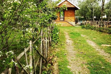 کلبه چوبی تک خواب در ماسال