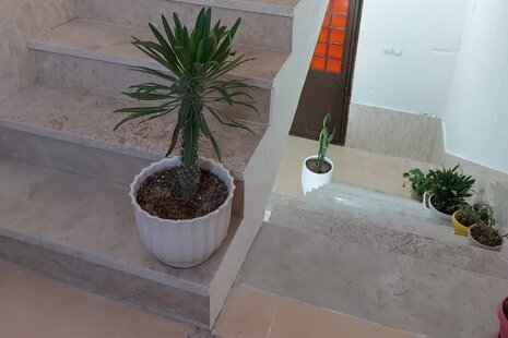 آپارتمان مبله دو خواب دهشیخ در لامرد