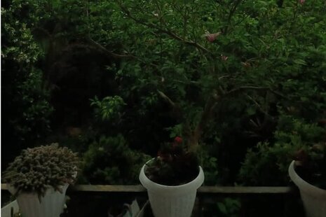 سوئیت طبقه دوم در چابکسر