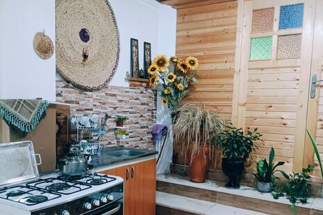 ویلا تکخواب مبله سبزمان در ماسال