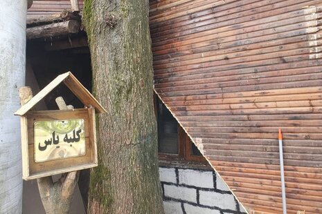 سوئیت کلبه درختی یاس در مجتمع اقامتی رشت