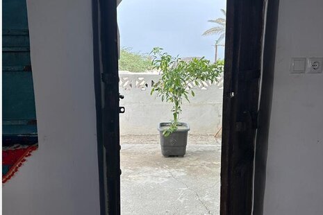 اتاق نخل 1 در بومگردی قشم