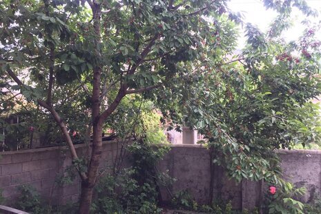 واحد مبله دوخواب مکا در ویلا  کلاردشت