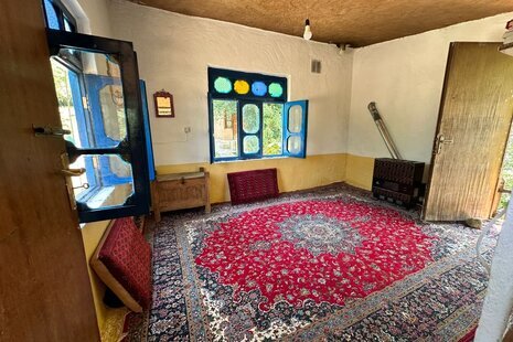 سوئیت جنگلی کاهگلی در کیاده ساری