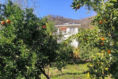 ویلا دوبلکس مبله سه خواب عمارت سبز در فومن