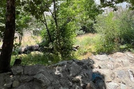 سوئیت مبله در سعادت آباد