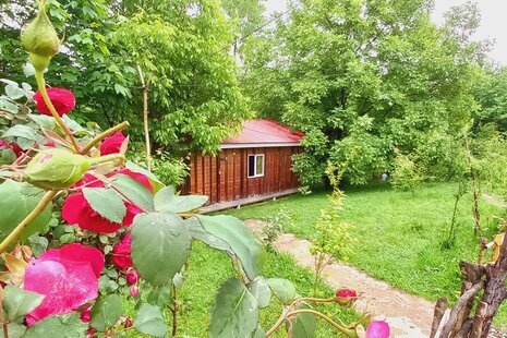 کلبه جنگلی 2 شیروان در ماسال