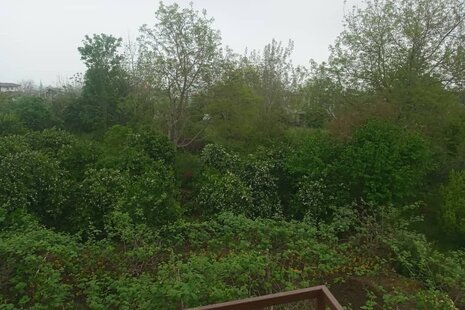 سوئیت طبقه دوم در چابکسر