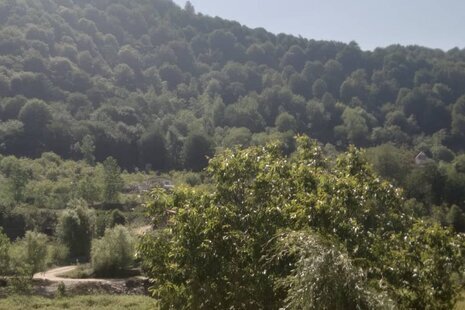 ویلا مبله تکخواب فاطیما 2 در سوادکوه