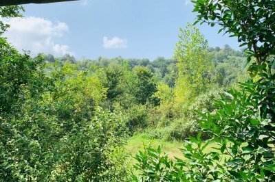 ویلا تکخواب مبله در فومن