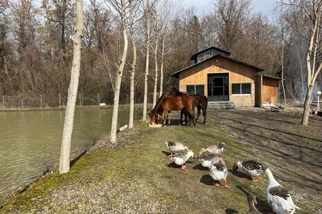 ویلا جنگلی دوبلکس دوخواب 104 در مجموعه گردشگری چمستان