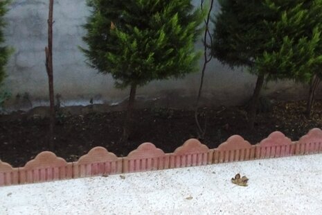 واحد مبله طبقه همکف در محمود آباد