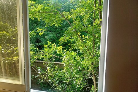 سوئیت مبله افرا در لاهیجان