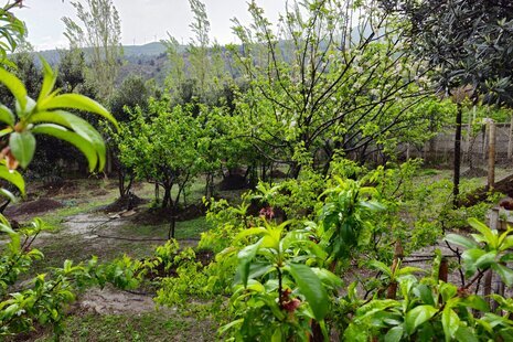 سوئیت مبله عمو ایرج در رودبار