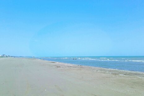 ویلا مبله تکخواب ساحلی گل میخک در کلاچای