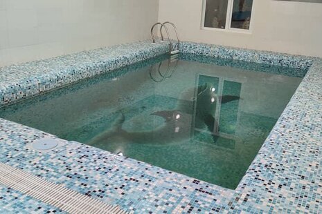 ویلا استخردار تک خواب در چهارباغ