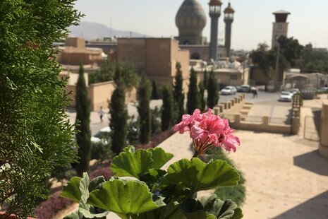 واحد تکخواب مبله 4 نفره هتل آپارتمان در شیراز