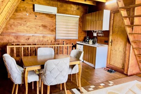 کلبه سوئیسی دوبلکس تک خواب  جکوزی دار شووا 2 در شیرگاه